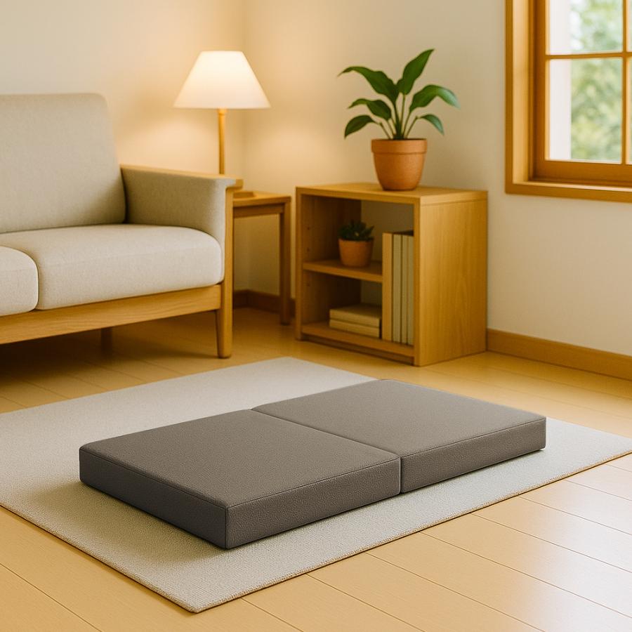 クッション フロアクッション 二人掛け ごろ寝クッション  こたつ用 コンパクト 軽い 安い こたつアイテム インテリア  bas0001-2ps | With：）SOFA