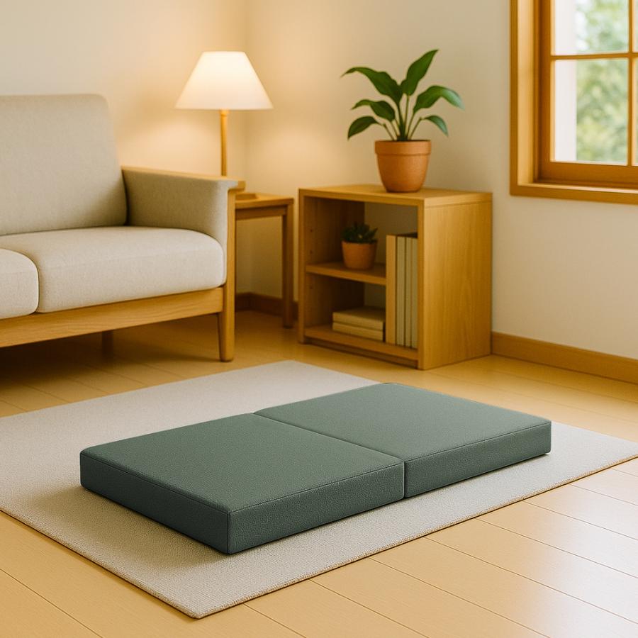 クッション フロアクッション 二人掛け ごろ寝クッション  こたつ用 コンパクト 軽い 安い こたつアイテム インテリア  bas0001-2ps | With：）SOFA | 01