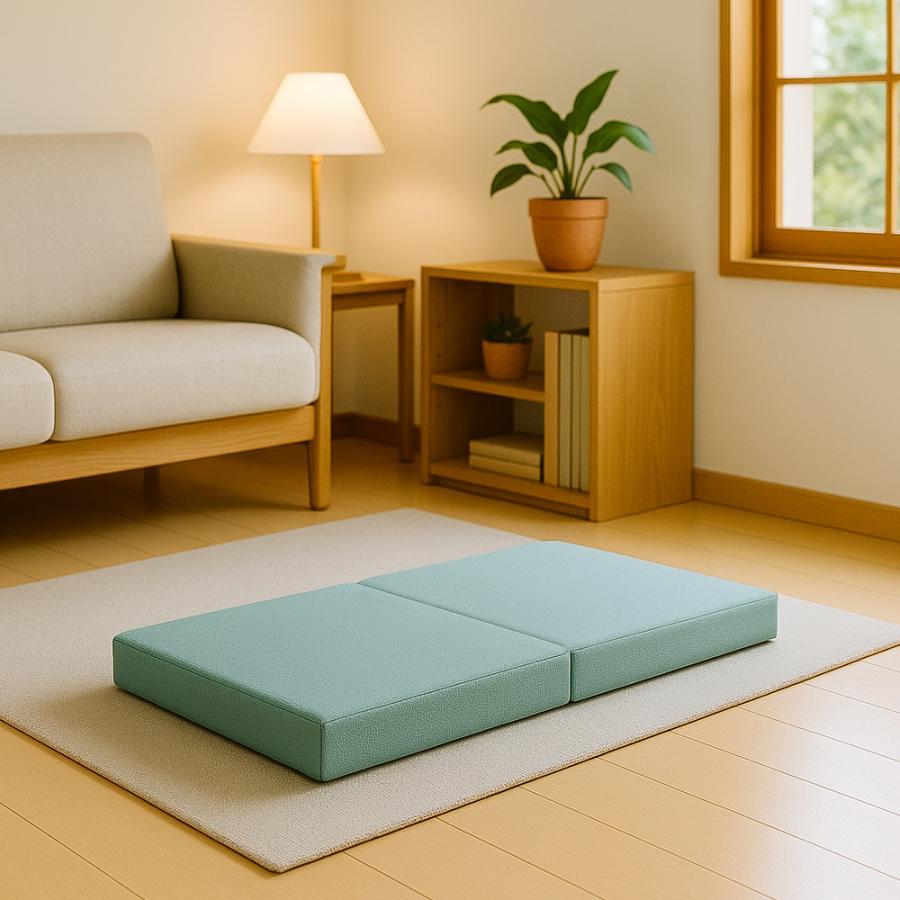 クッション フロアクッション 二人掛け ごろ寝クッション  こたつ用 コンパクト 軽い 安い こたつアイテム インテリア  bas0001-2ps | With：）SOFA | 02