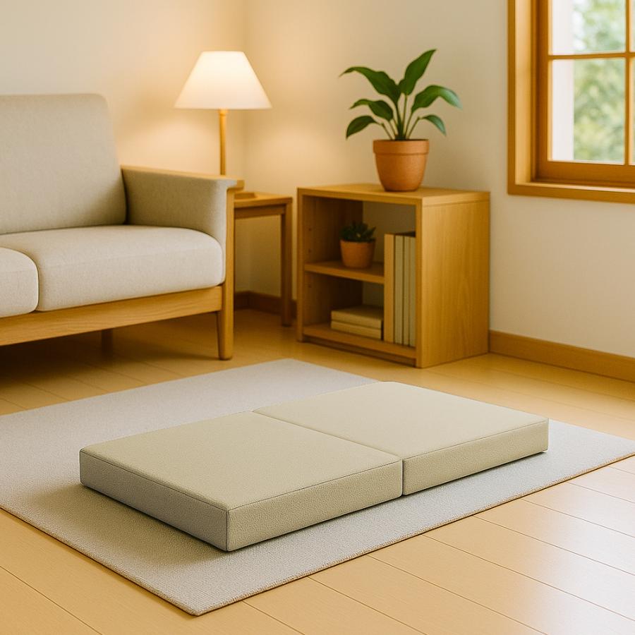 クッション フロアクッション 二人掛け ごろ寝クッション  こたつ用 コンパクト 軽い 安い こたつアイテム インテリア  bas0001-2ps | With：）SOFA | 03