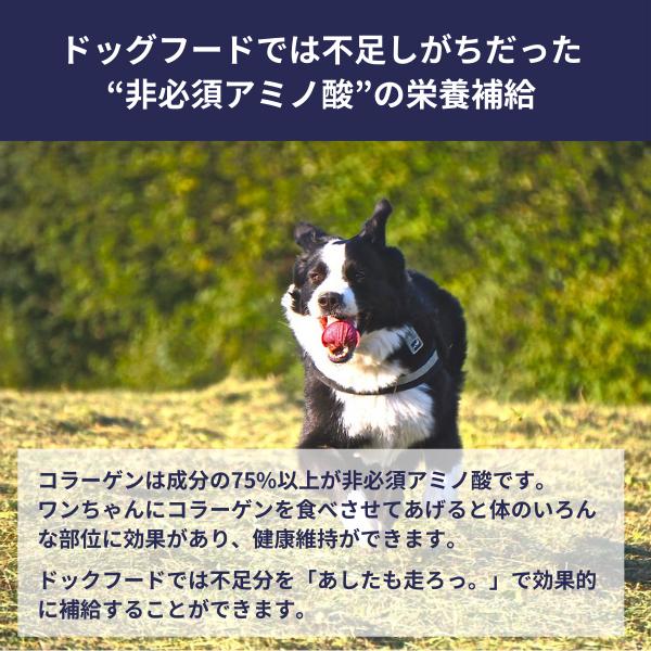 ニッピ あしたも走ろっ。 160g 犬用 健康補助食品 コラーゲン