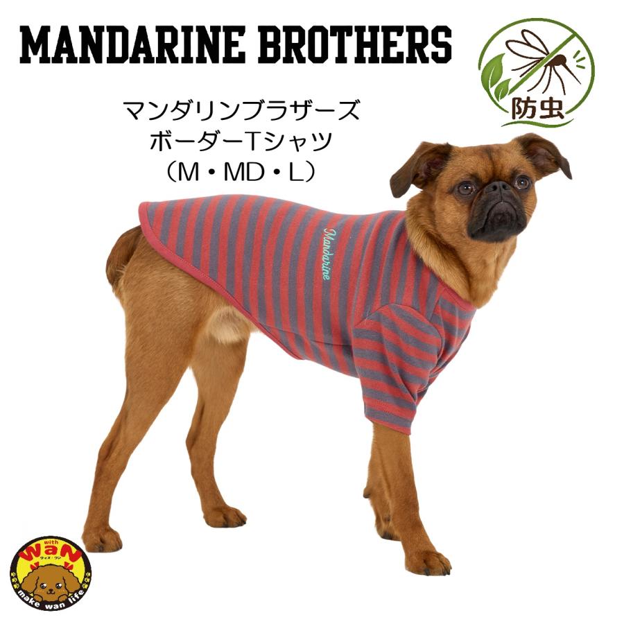 MANDARINE BROTHERS（マンダリンブラザーズ） 2026秋冬新作 犬 服