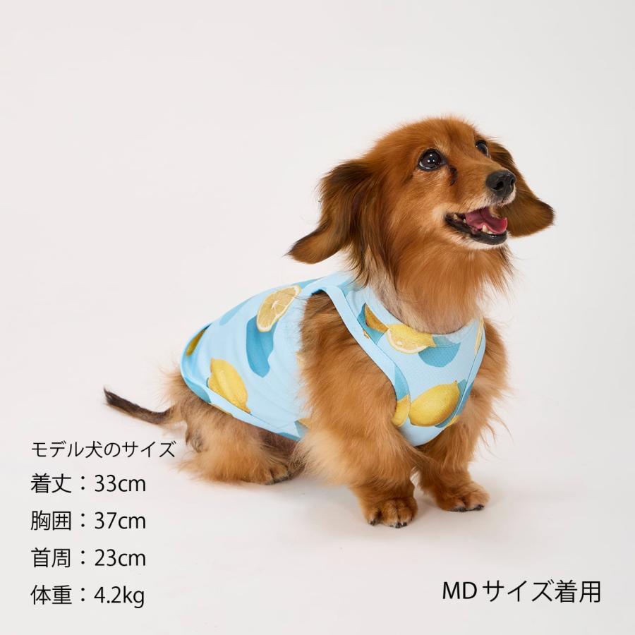 MANDARINE BROTHERS（マンダリンブラザーズ） セール 犬 服 絞って振る