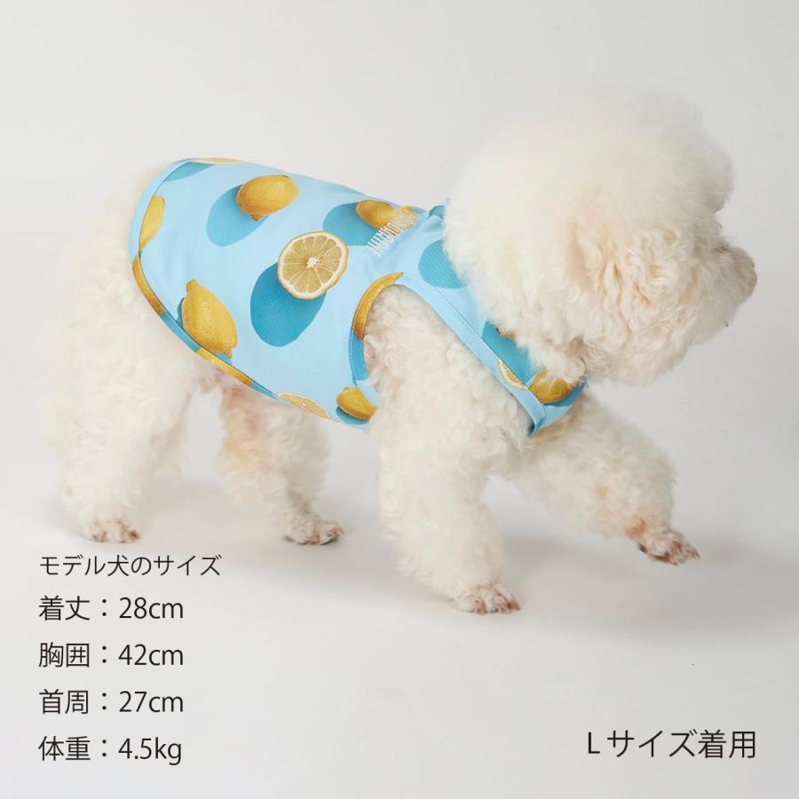 MANDARINE BROTHERS（マンダリンブラザーズ） セール 犬 服 絞って振る