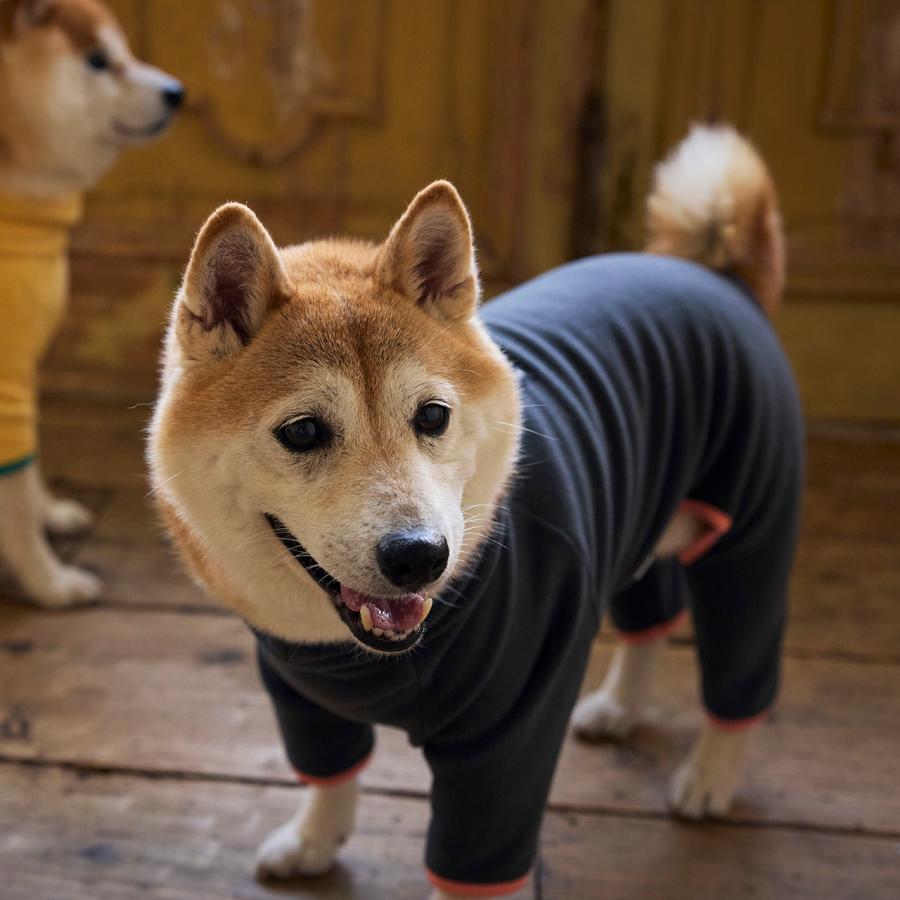 犬 服 フレームロゴボアスーツ つなぎ ボア プルオーバー 犬服 ボアスーツ ロンパース カバーオール 防寒 マンダリンブラザーズ 爆買 | MANDARINE BROTHERS | 11