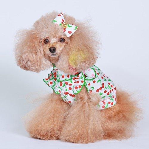 セール 犬 服 ブラウス Tシャツ ゴッドピバ さくらんぼフリルブラウス
