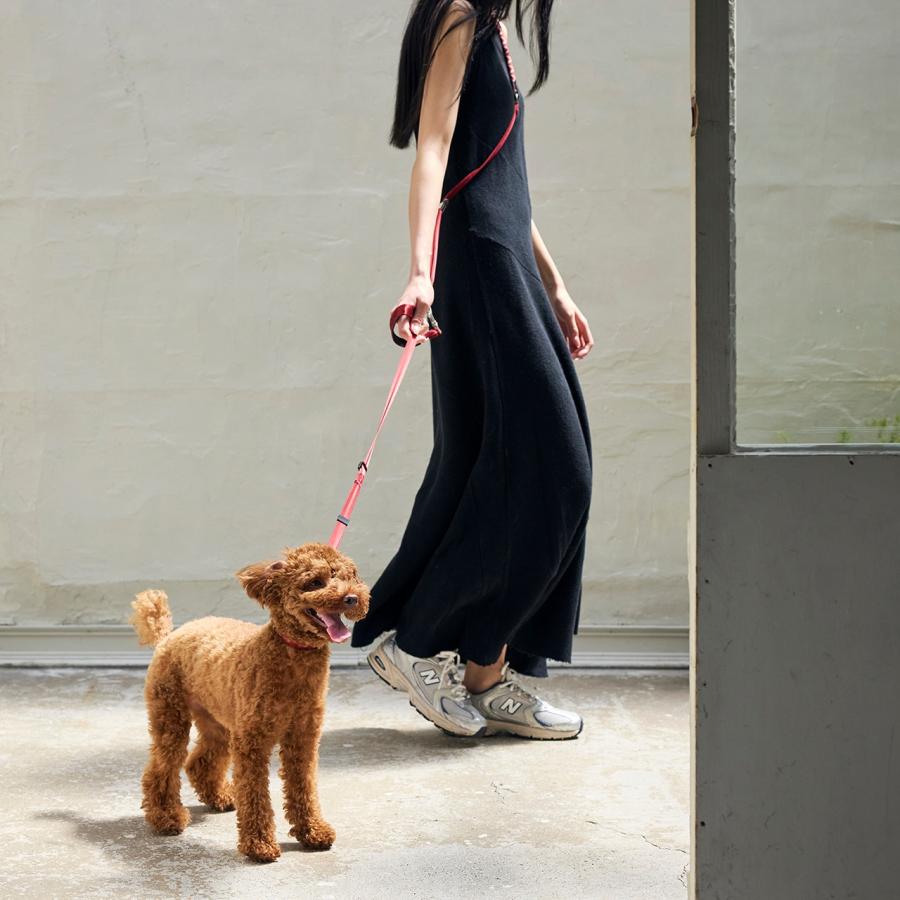 犬 リード ハンズフリーリーシュ ハンズフリーリード 手ぶら 首輪 おしゃれ 小型犬 中型犬 首輪 ハーネス シンプル マンダリンブラザーズ 爆買 | MANDARINE BROTHERS | 11