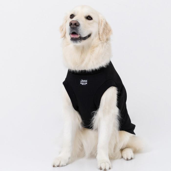 犬の服　トレーナー生地 121w04s_01.jpg