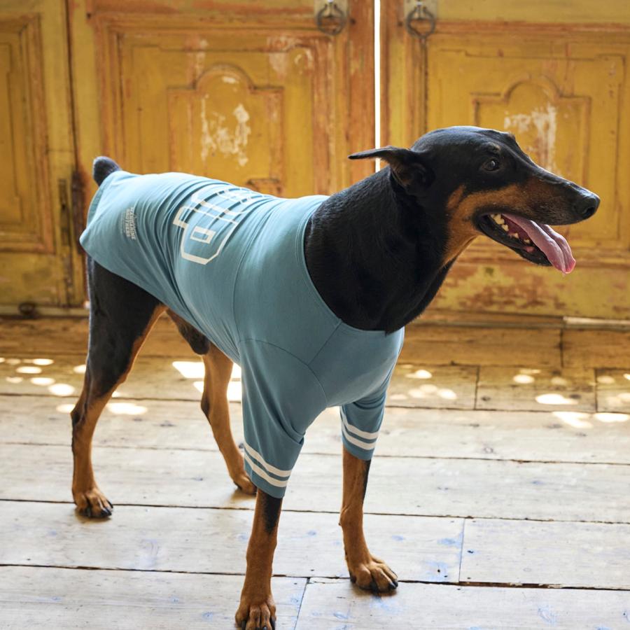 犬 服 ロングスリーブTシャツ 防虫 防虫加工 犬服 秋 冬 春 長袖 Tシャツ ドッグウェア 小型犬 中型犬 大型犬 マンダリンブラザーズ 爆買 | MANDARINE BROTHERS | 20