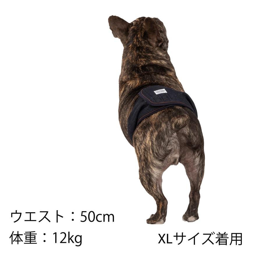 MANDARINE BROTHERS（マンダリンブラザーズ） 犬 マナーベルト オス