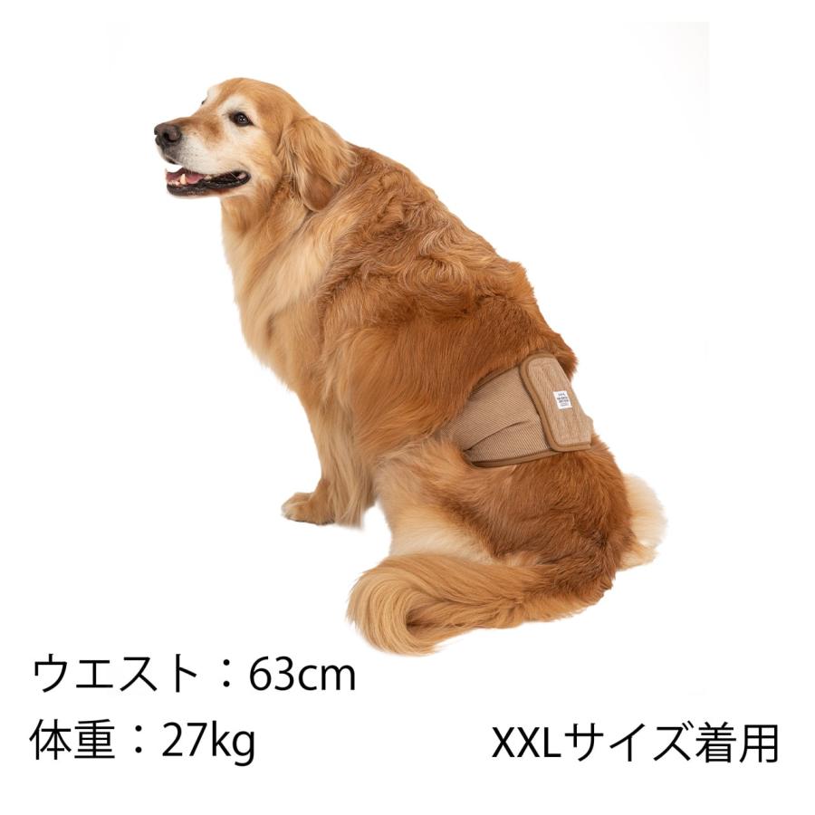 MANDARINE BROTHERS（マンダリンブラザーズ） 犬 マナーベルト オス