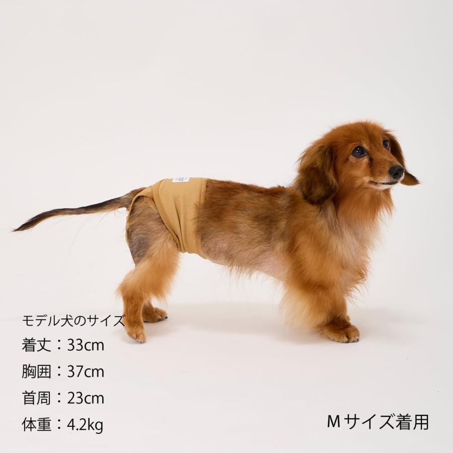 犬 サニタリー マナーパンツ おむつカバー トイレ 女の子 メス 雌 おむつ 生理 予防 マナーウェア 小型犬 おしゃれ マンダリンブラザーズ 爆買 | MANDARINE BROTHERS | 08
