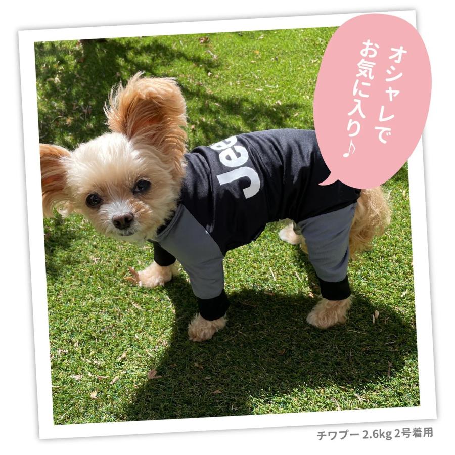 犬 服 ラッシュガード ロンパース アウトドア 水遊び 山遊び 雪遊び 犬