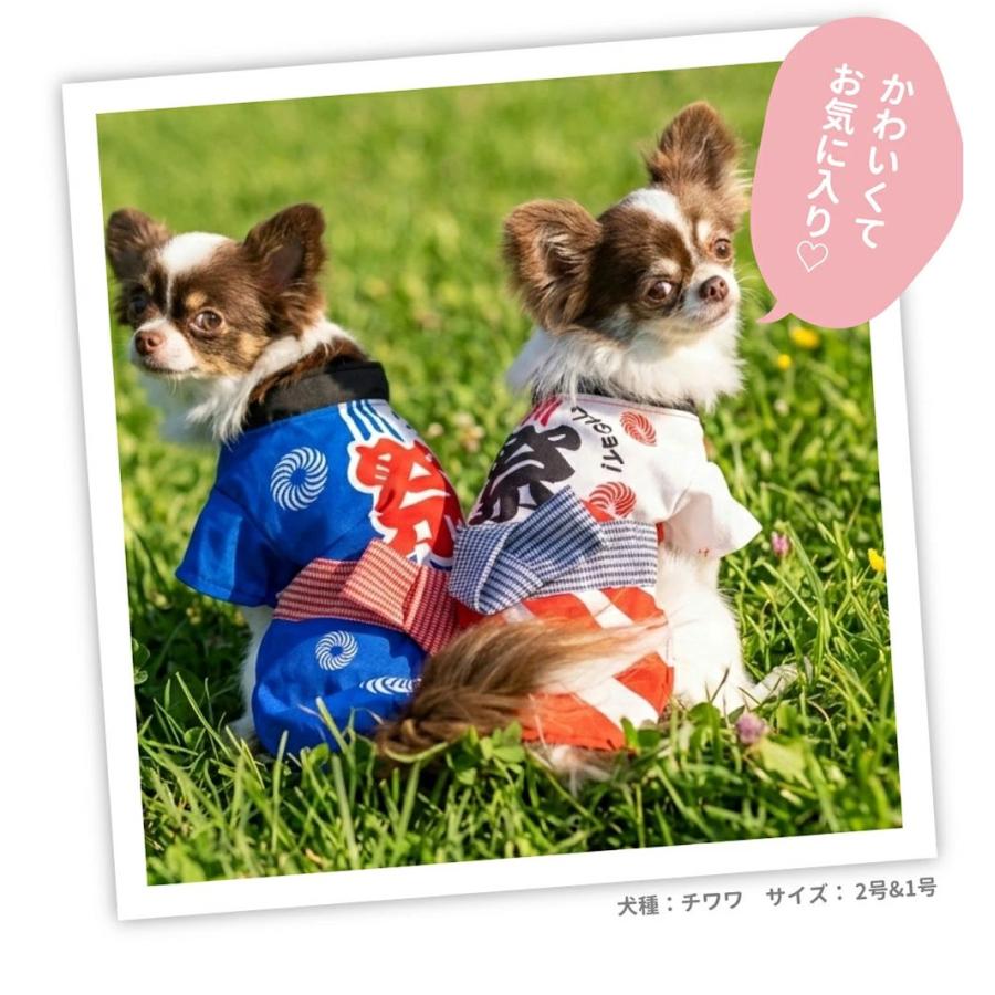 pipi セール 犬 服 お祭りはっぴ 小型犬 中型犬 夏祭り ゆかた 浴衣 法