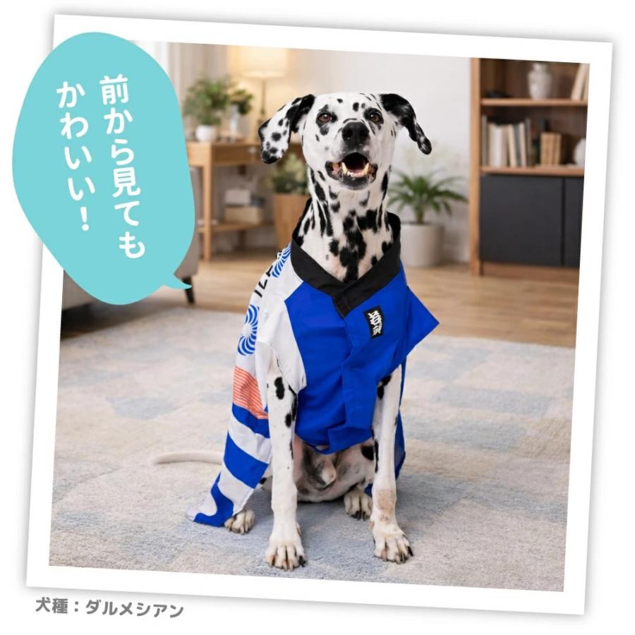 pipi 犬 服 お祭りはっぴ 中型犬 大型犬 夏祭り ゆかた 浴衣 法被 祭