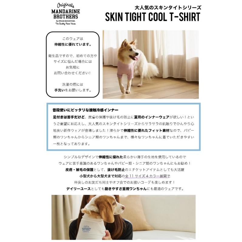 赤い服を着た女性とボルゾイ犬 サンティーニ ビンテージ 着るだけの「虫よけ」対策！不快な虫から守る犬に優しい“虫よけ