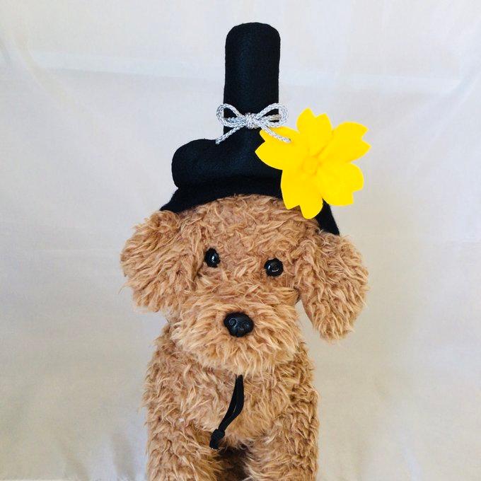 ゆきひな　犬服　ハンドメイド　わんこ服 犬服 ひな様専用 ハンドメイド ゆきひな様専用 ハンドメイド 犬服