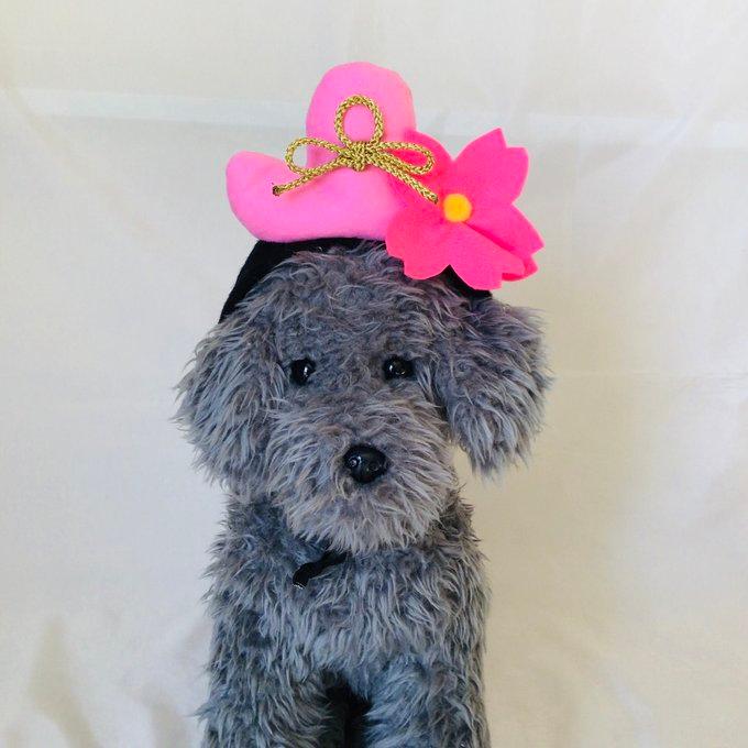 犬 お内裏様 お雛様 なりきり カチューシャ ハンドメイド ひな祭り