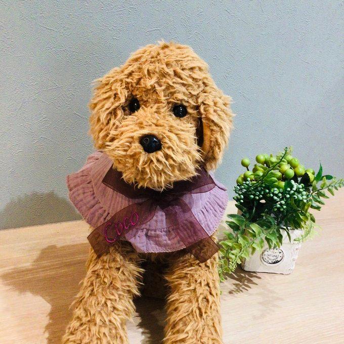 犬 スタイ うちの子 名前入り つけ襟 バンダナ ケープ ハンドメイド