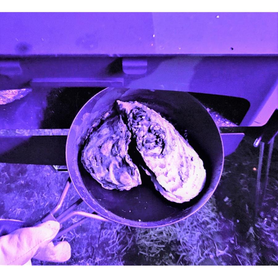 ペレットグリルヒーター　らくださん（木質ペレット・薪対応） 楽天市場】ペレットグリルヒーター オーブン機能付き RAKUDASAN