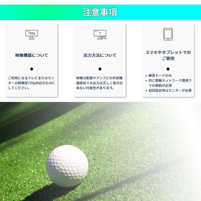 SKYTRAK EXPUTT RG GPRO EX500D 家庭用スクリーンパター練習機