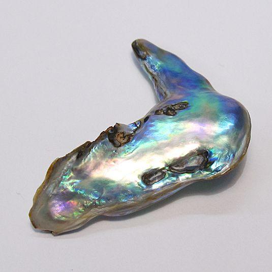 アバロンパール アワビ天然真珠ルース 28.81ctルース40mm×3.5mm×8mm