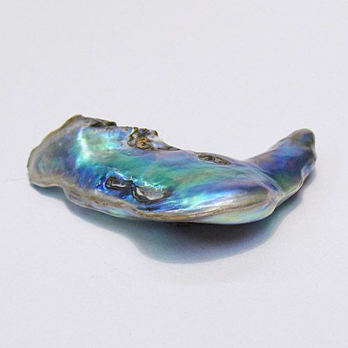 鮑玉　アワビの貝殻　アバロンパール　真珠付き約1cm強 30601-107-