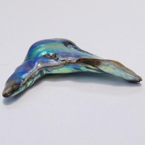 鮑玉　アワビの貝殻　アバロンパール　真珠付き約1cm強 新入荷】ニュージーランドの宝物～アバロンパールの稀少性や美