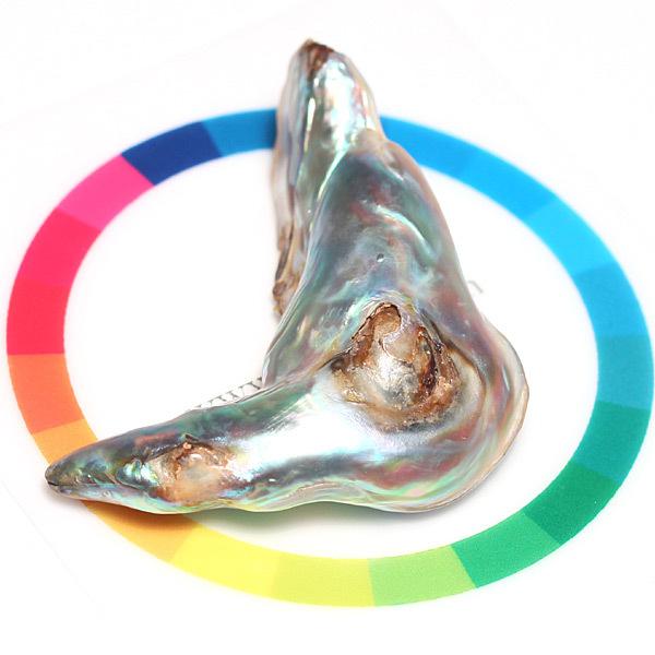 鮑玉　アワビの貝殻　アバロンパール　真珠付き約1cm強 a069bf260c676025191d8e6450aef5