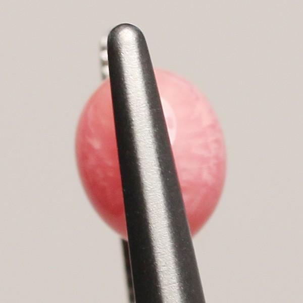 コンクパールルース1.259ct火炎模様見られるソーティング/簡易