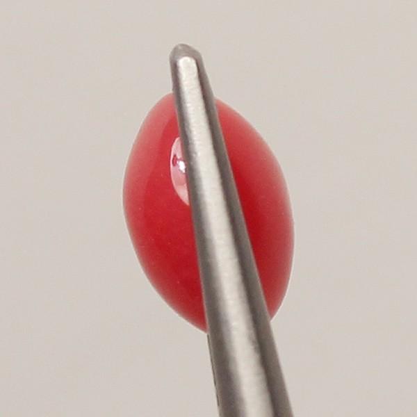コンクパール0.830ctルース約6.0mm×4.8mm×3.8mm ソーティング簡易鑑別取得済み 希少な天然真珠 整った形状 強い光を当てると内側からほわっとしたフレームの画像