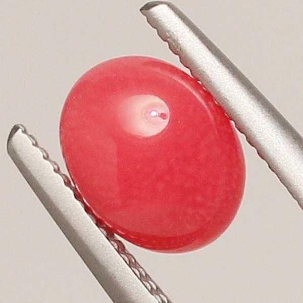 コンクパール0.830ctルース約6.0mm×4.8mm×3.8mm ソーティング簡易鑑別取得済み 希少な天然真珠 整った形状 強い光を当てると内側からほわっとしたフレームの画像
