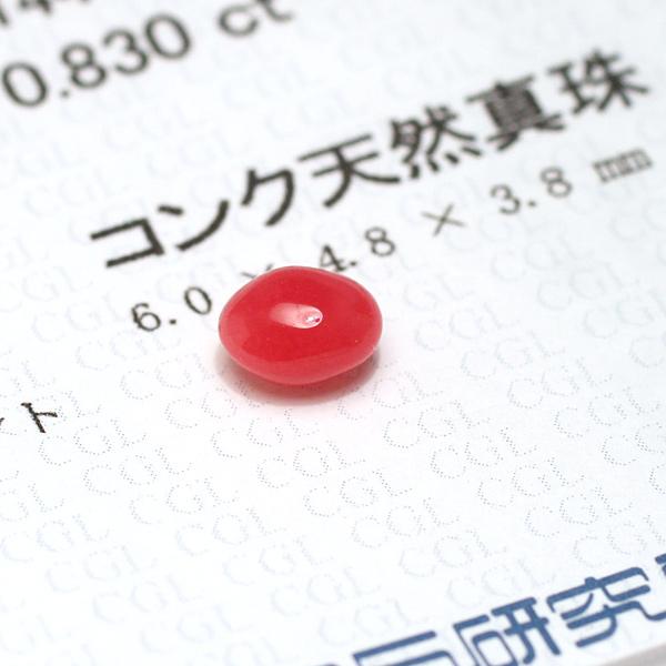 コンクパール0.830ctルース約6.0mm×4.8mm×3.8mm ソーティング簡易鑑別取得済み 希少な天然真珠 整った形状 強い光を当てると内側からほわっとしたフレームの画像