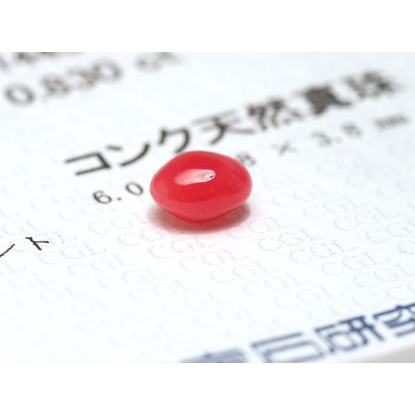 コンクパール0.830ctルース約6.0mm×4.8mm×3.8mm ソーティング簡易鑑別取得済み 希少な天然真珠 整った形状 強い光を当てると内側からほわっとしたフレームの画像
