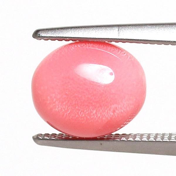 格安 コンクパールルース2 551ct約8 2mm 6 9mm 5 7mm火炎模様美しいピンク色 中央宝石研究所の鑑別書付属 希少な天然真珠 楽天市場 Www Amalgamatedplantations Co In