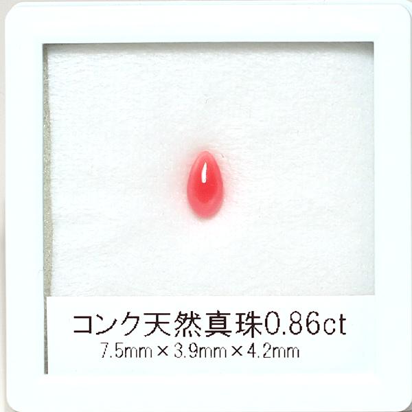 コンクパールルース0.86ct ドロップ形 細長い涙形 火炎模様みられる希少な天然真珠 色テリ良いの画像