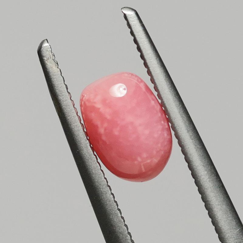 コンクパールルース1.080ct 6.6mm×4.6m×3.1mm 高品質の証火炎模様 