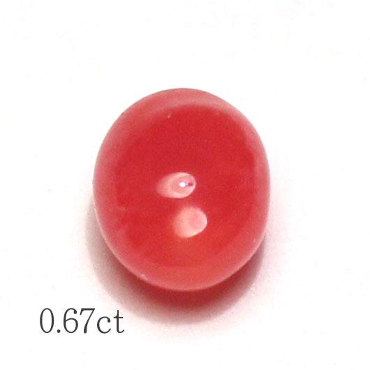 コンクパールルース0.67ct 約5.8mm×3.6mm×4.3mm整った形オーバル 