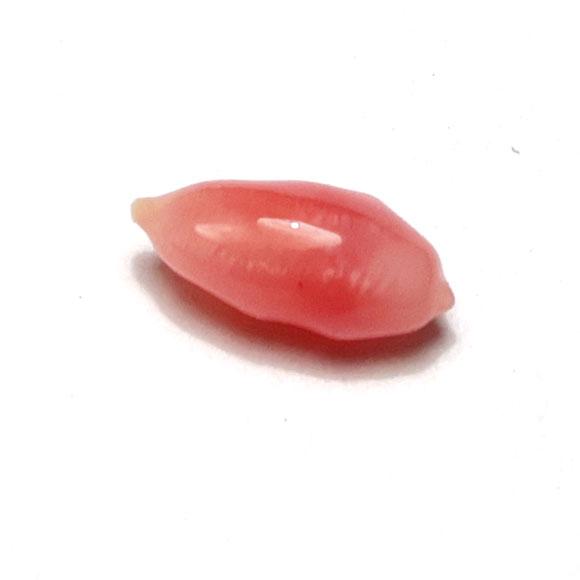 コンクパールルース0.32ct 約6.2mm×2.8mm×2.5mm レアストーンコレクションに入れてください 火焔模様見られます_2