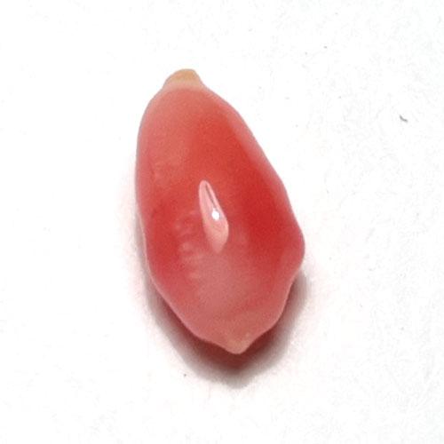 コンクパールルース0.32ct 約6.2mm×2.8mm×2.5mm レアストーンコレクションに入れてください 火焔模様見られます_3
