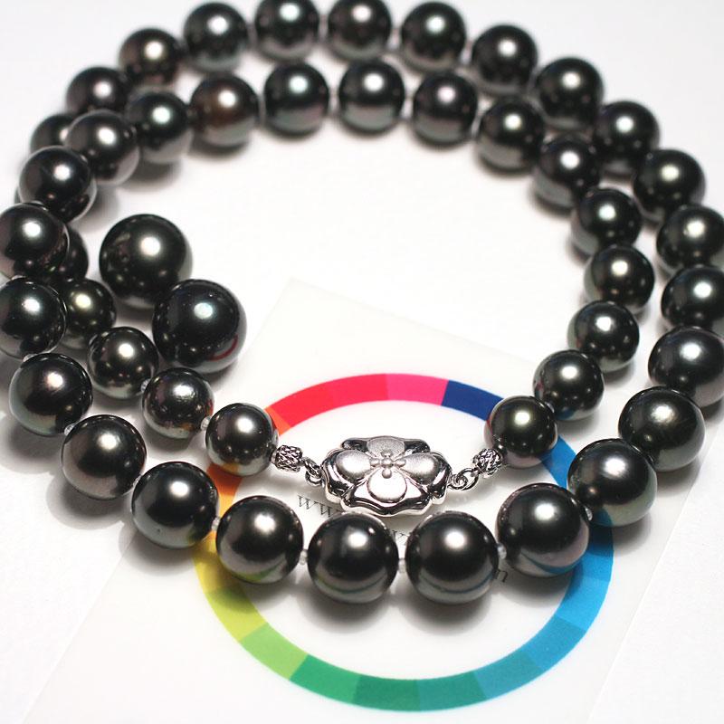 黒蝶ピーコック鑑別付9-11.8mm