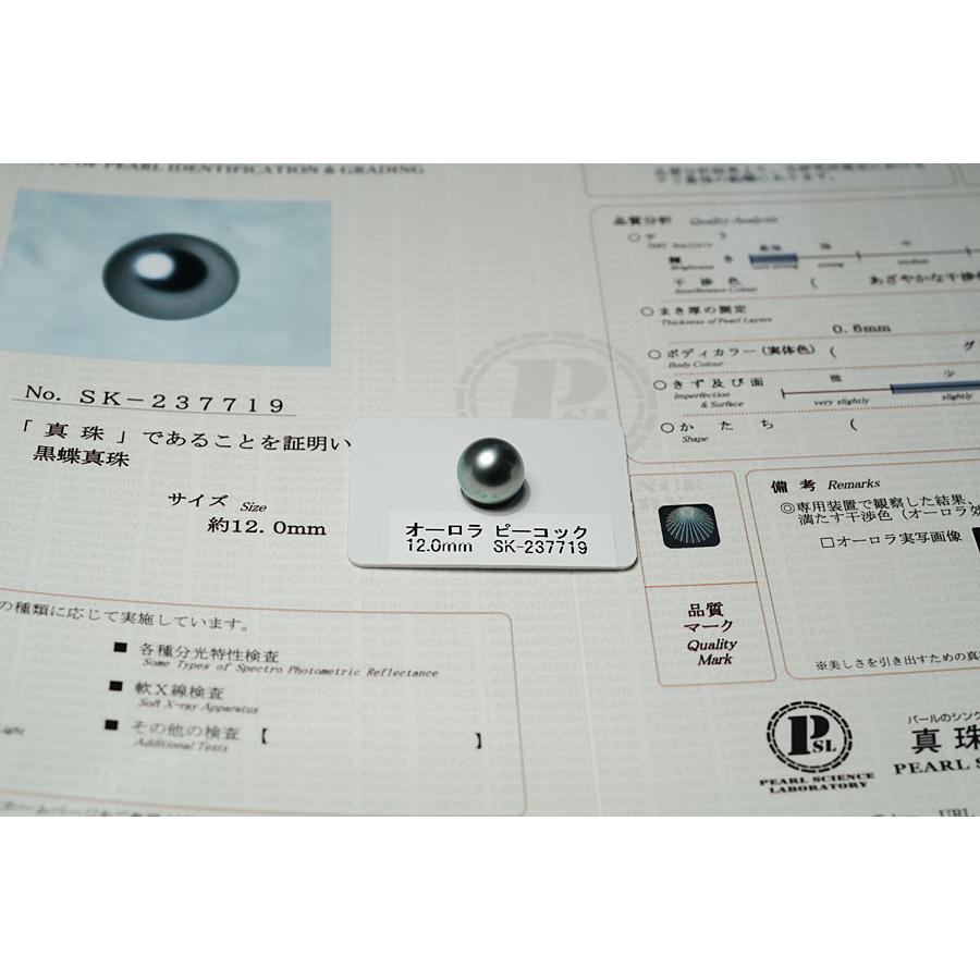 宝石ルース 真珠ルース 黒蝶真珠 オーロラピーコック鑑別書付属 黒蝶