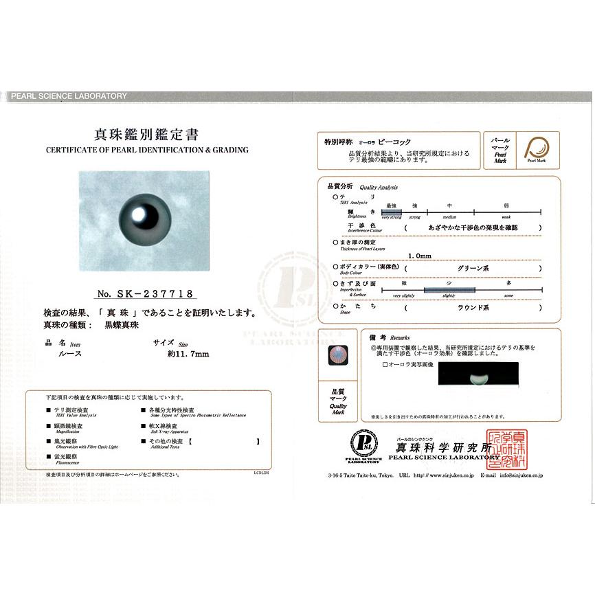 宝石ルース 真珠ルース 黒蝶真珠 オーロラピーコック鑑別書付属 黒蝶