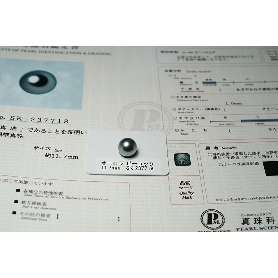 宝石ルース 真珠ルース 黒蝶真珠 オーロラピーコック鑑別書付属 黒蝶