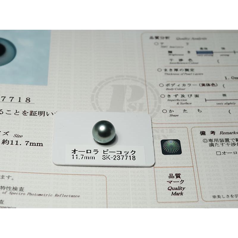 宝石ルース 真珠ルース 黒蝶真珠 オーロラピーコック鑑別書付属 黒蝶