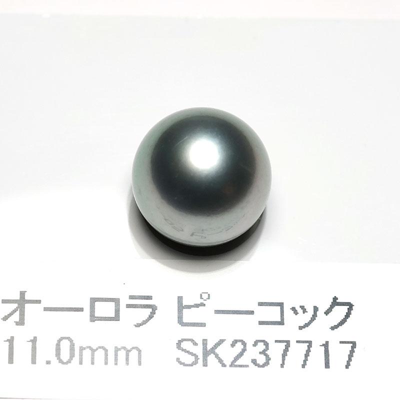 [圧倒的人気 最短翌日お届け ] sp-093 (sp-093)