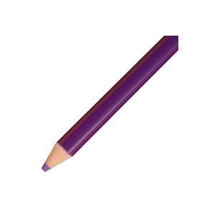 (業務用50セット) トンボ鉛筆 色鉛筆 単色 12本入 1500-19 すみれ｜wizkk｜02