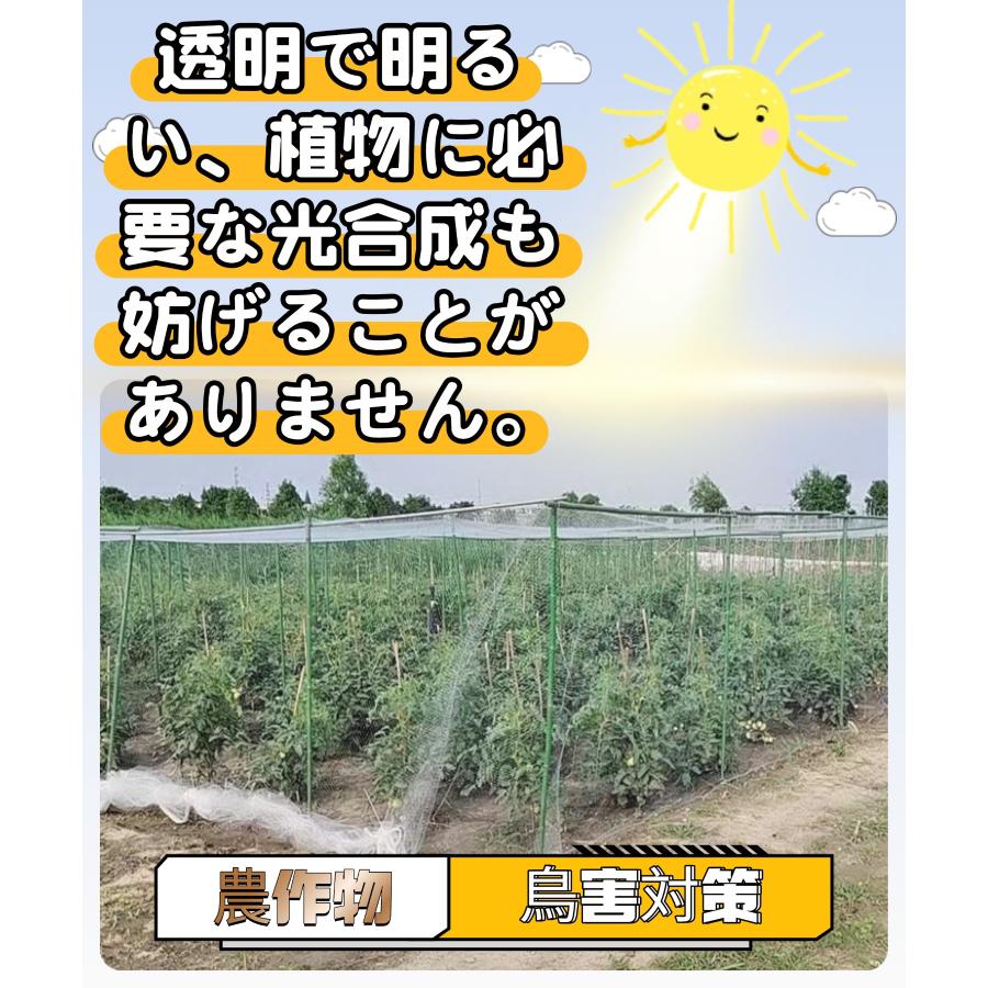 ベランダ鳥よけネット 防鳥ネット 防鳥網 20×20m 取り付け