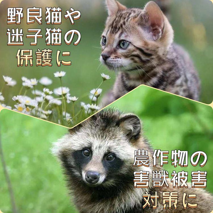 動物捕獲器 (大サイズ 約79×28×33cm)アニマルトラップ 踏板式 組み立て