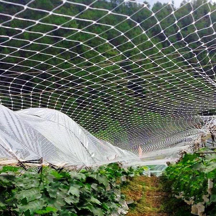 ベランダ鳥よけネット 防鳥ネット 防鳥網 4×10m 取り付け ベランダ鳥よけネット 防鳥ネット 防鳥網 4×10m 取り付け